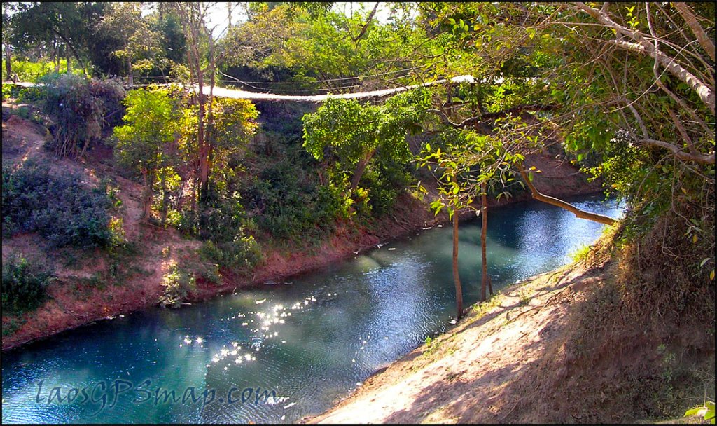 bamboo-suspension-bridge.jpg