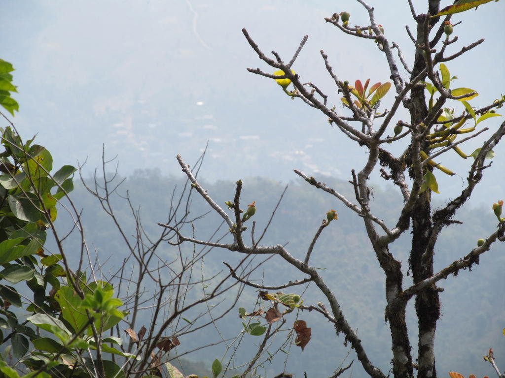 IMG_3571.jpg