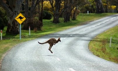 driving-in-australia-1.jpg