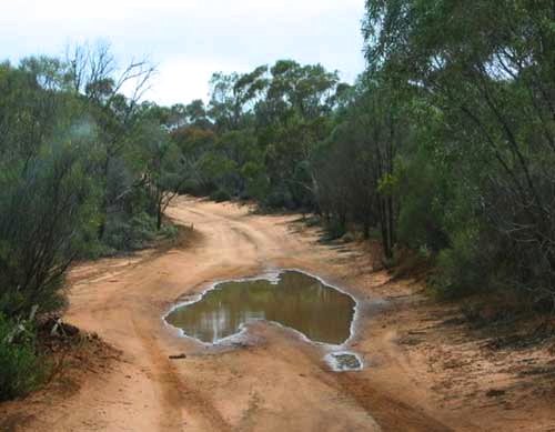 australia_mudmap.jpg