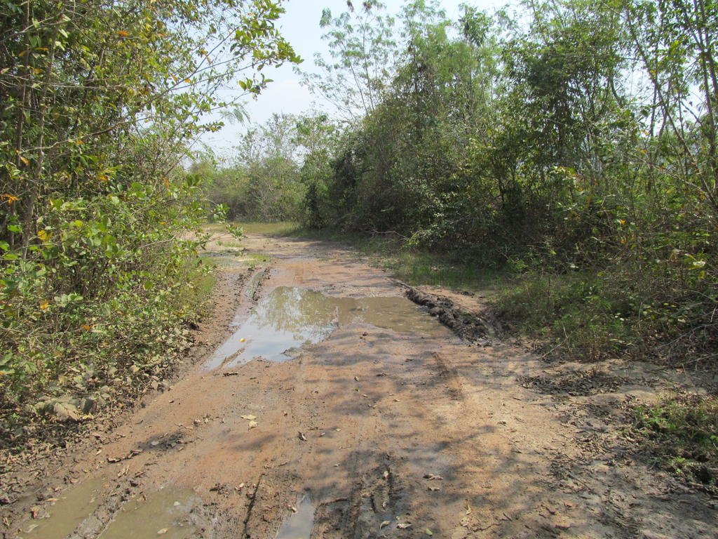 IMG_3836.jpg