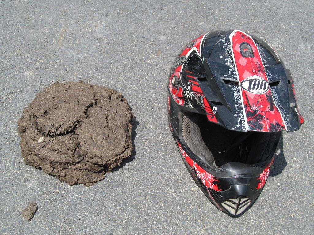IMG_4541.jpg IMG_4541.jpg