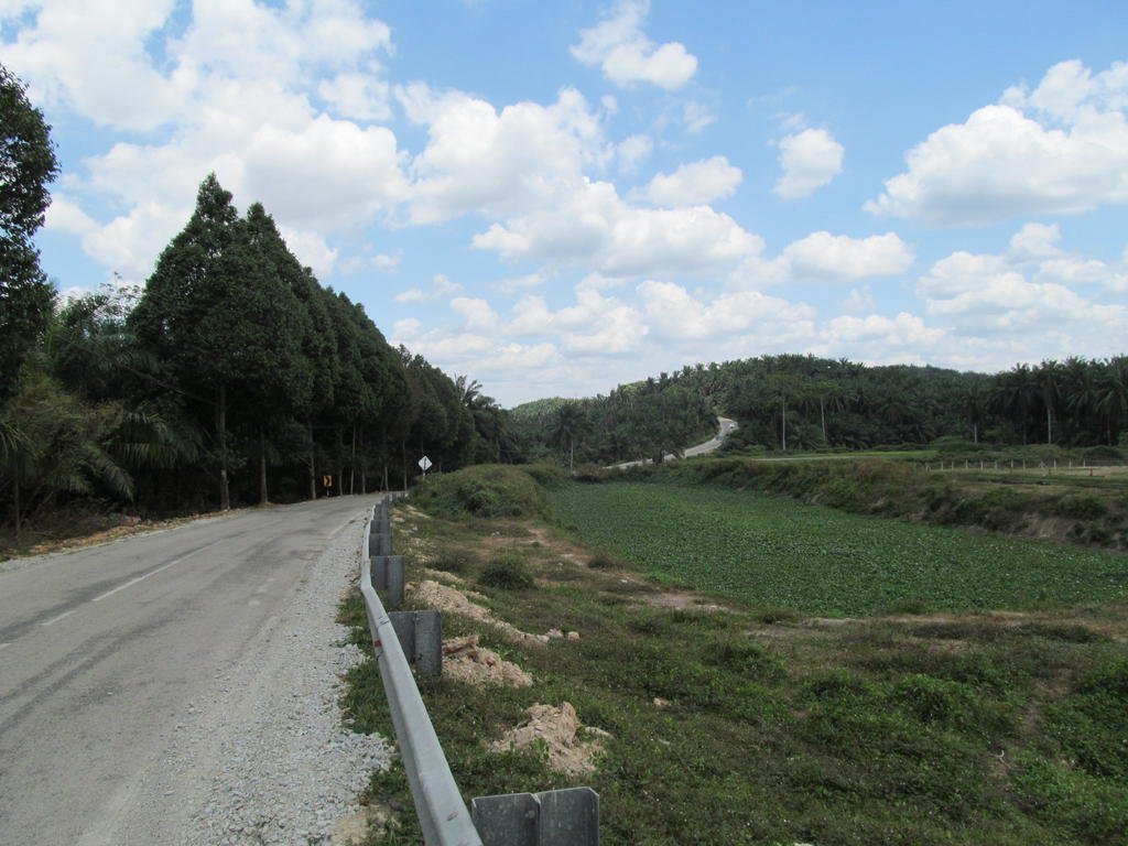 IMG_4570.jpg IMG_4570.jpg