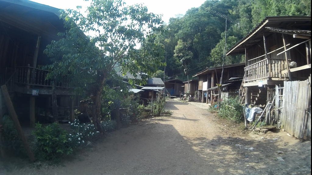 21.jpg 21.jpg