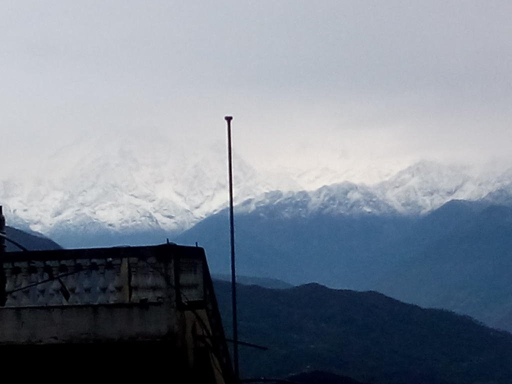 DSC_0346.jpg DSC_0346.jpg