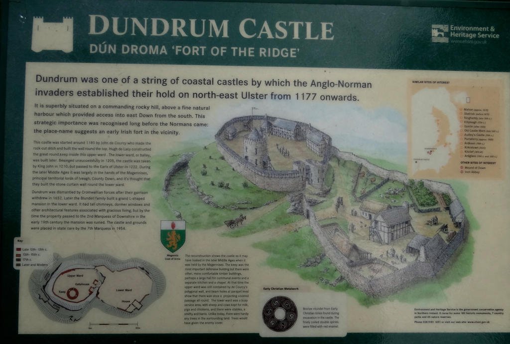 DSC02790.jpg