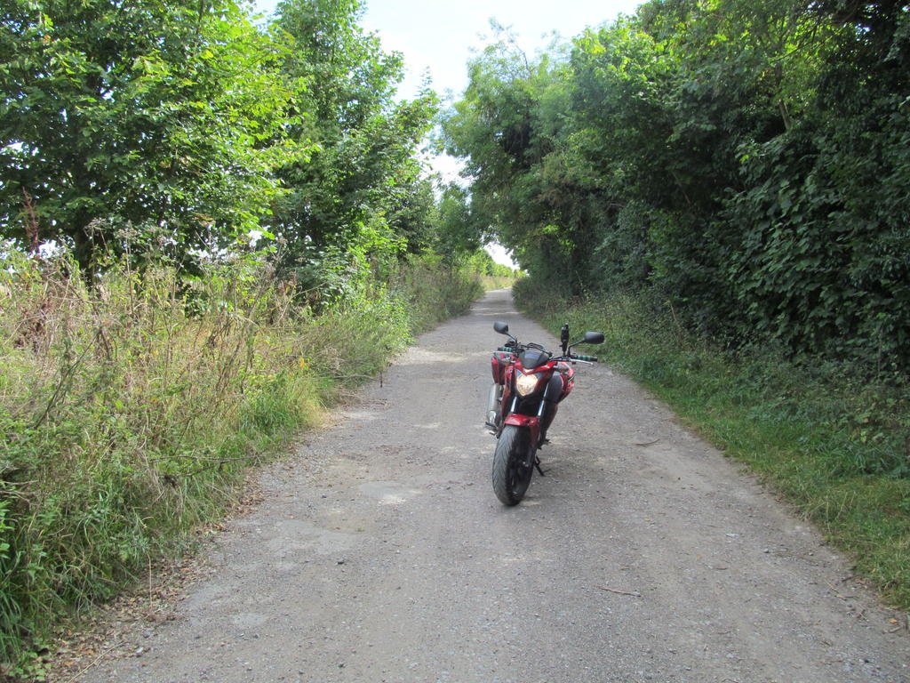 IMG_5514.jpg IMG_5514.jpg