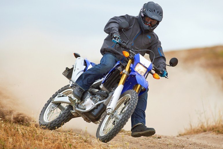 good rider2.jpg good rider2.jpg