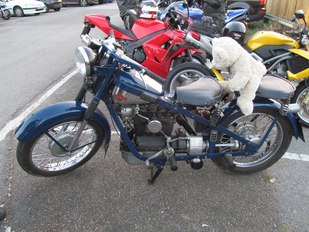 IMG_5522.jpg IMG_5522.jpg