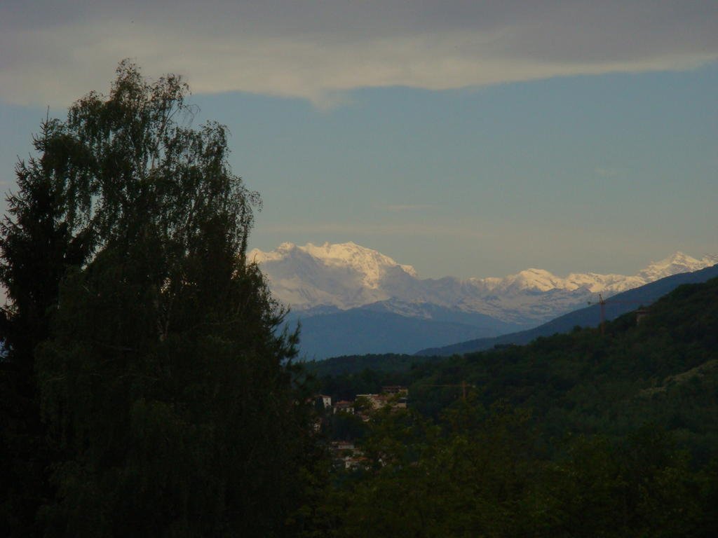 DSC03304.jpg