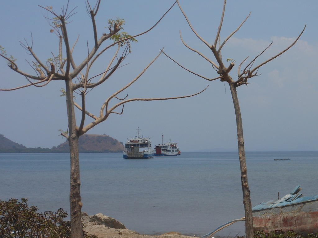 RSCN3649.jpg RSCN3649.jpg