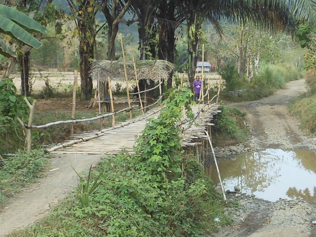 RSCN3822.JPG RSCN3822.JPG