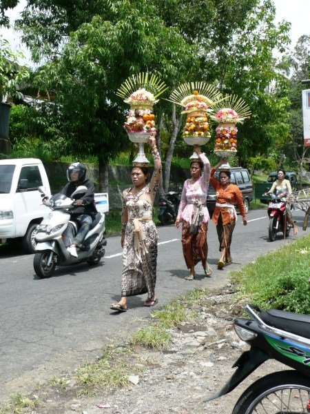 Bali (450 x 600).jpg