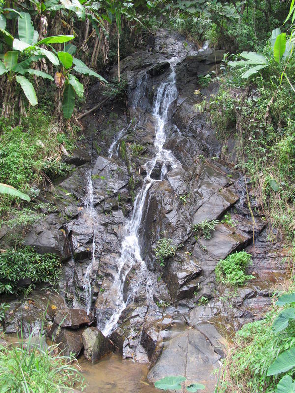 IMG_5716.jpg