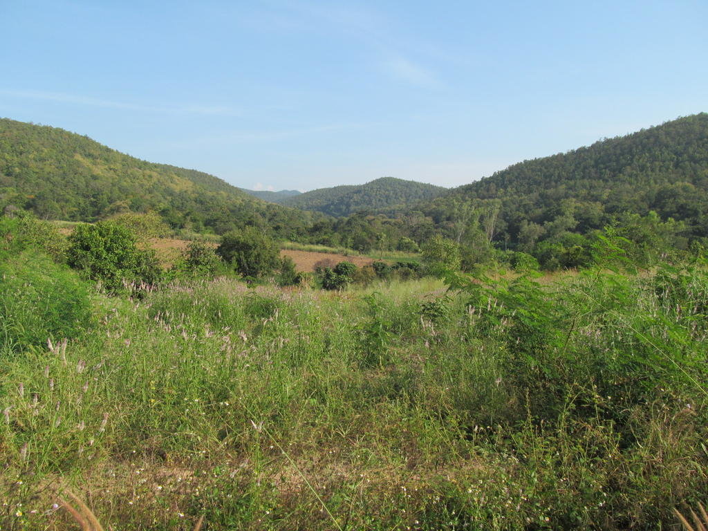 IMG_6136.jpg