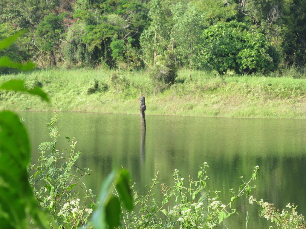 IMG_6139.jpg