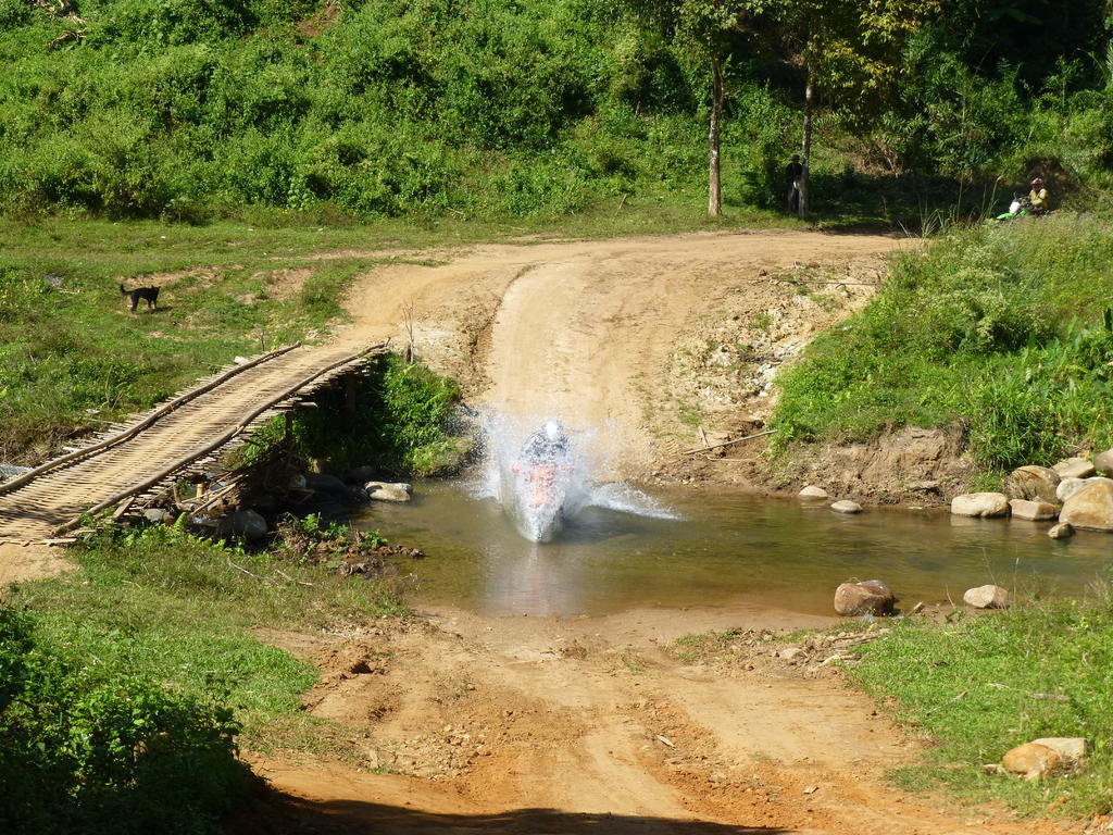 P1040685.jpg