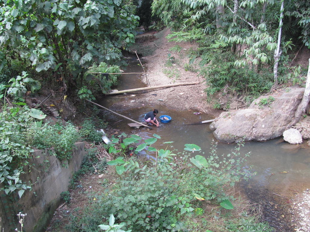 IMG_6746.jpg
