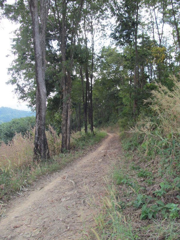 IMG_6751.jpg