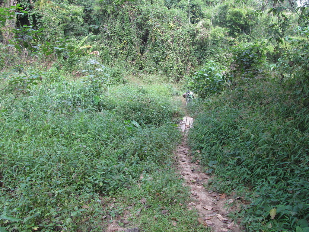 IMG_6754.jpg