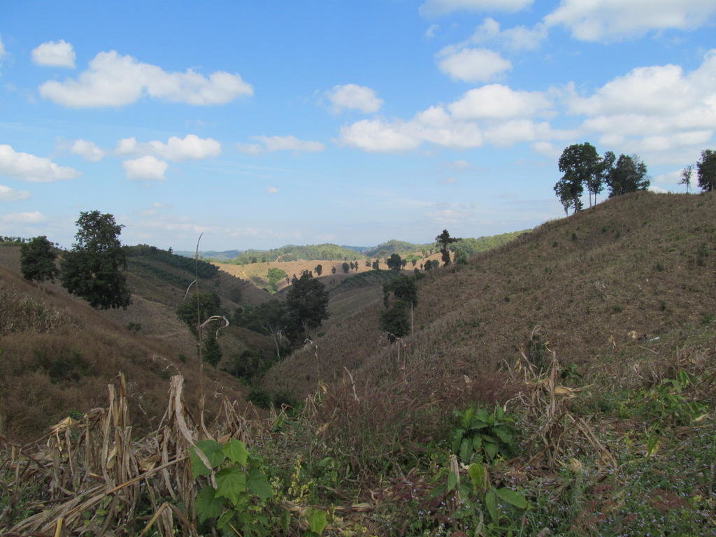 IMG_6756.jpg