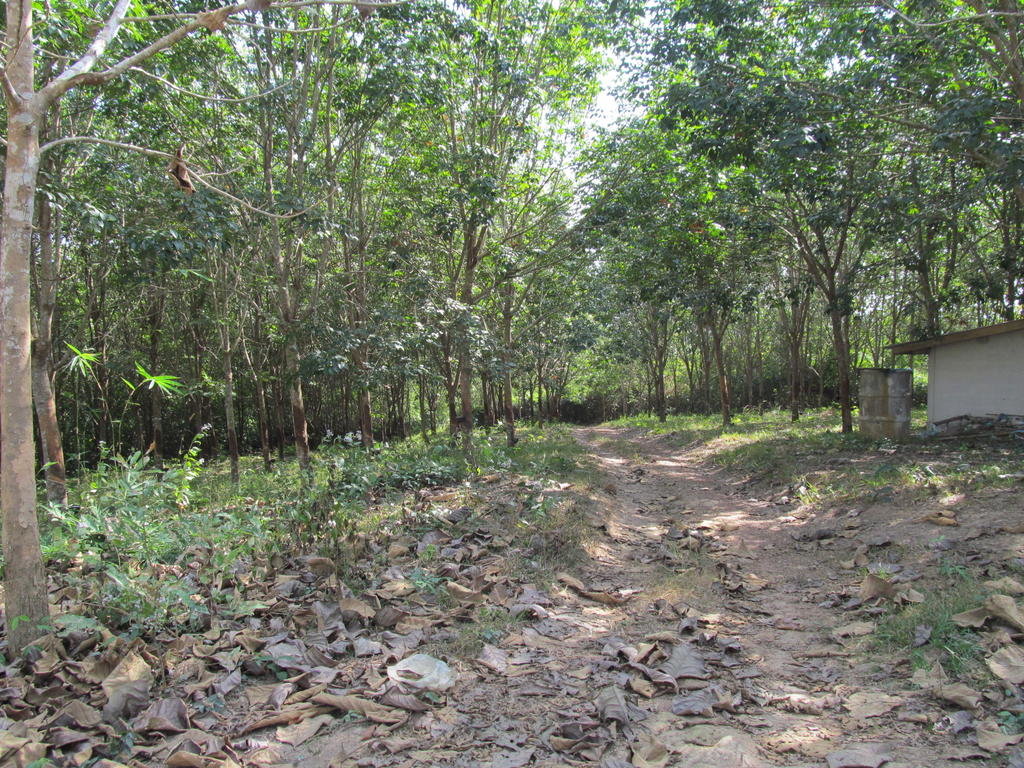 IMG_6903.jpg