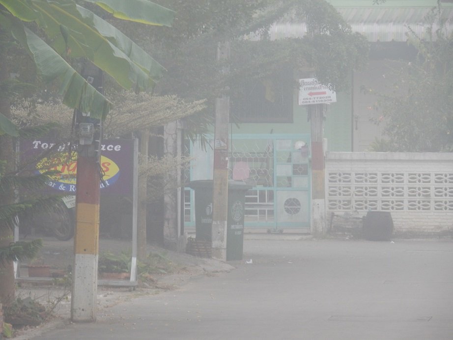 misty start.JPG misty start.JPG