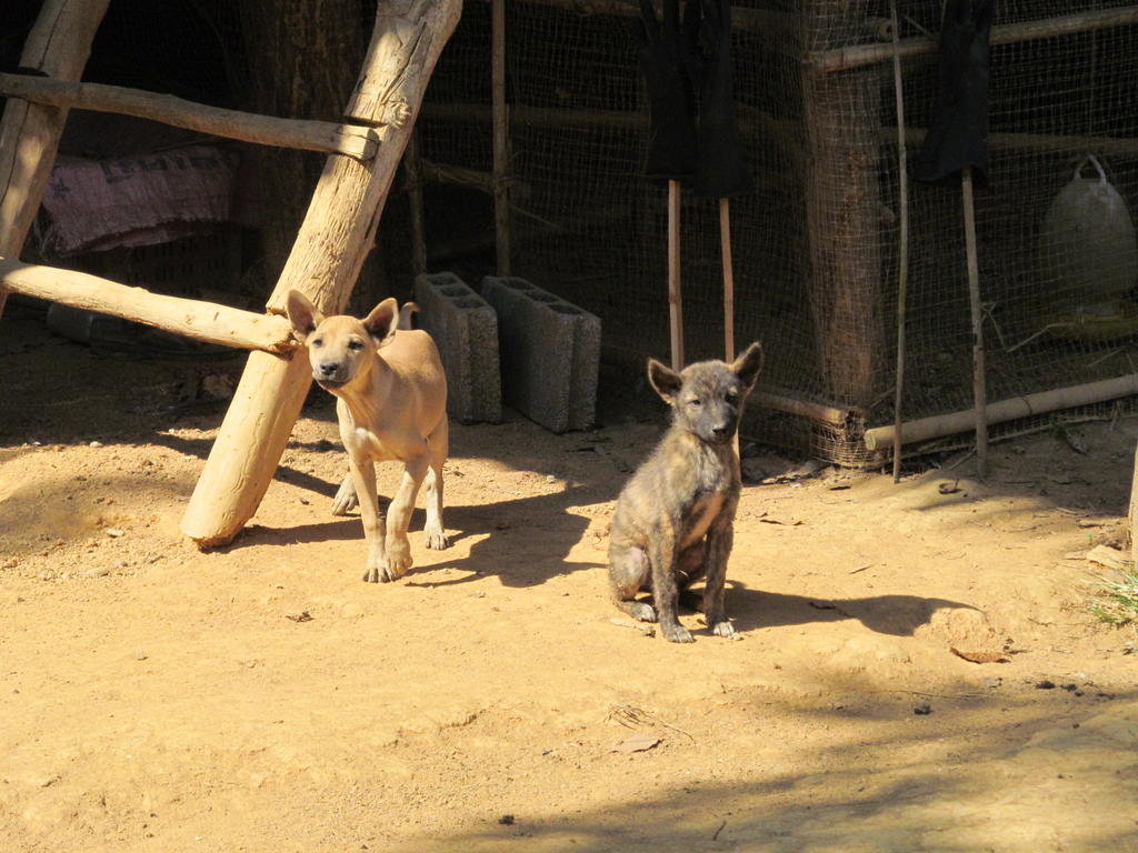 IMG_6924.jpg IMG_6924.jpg