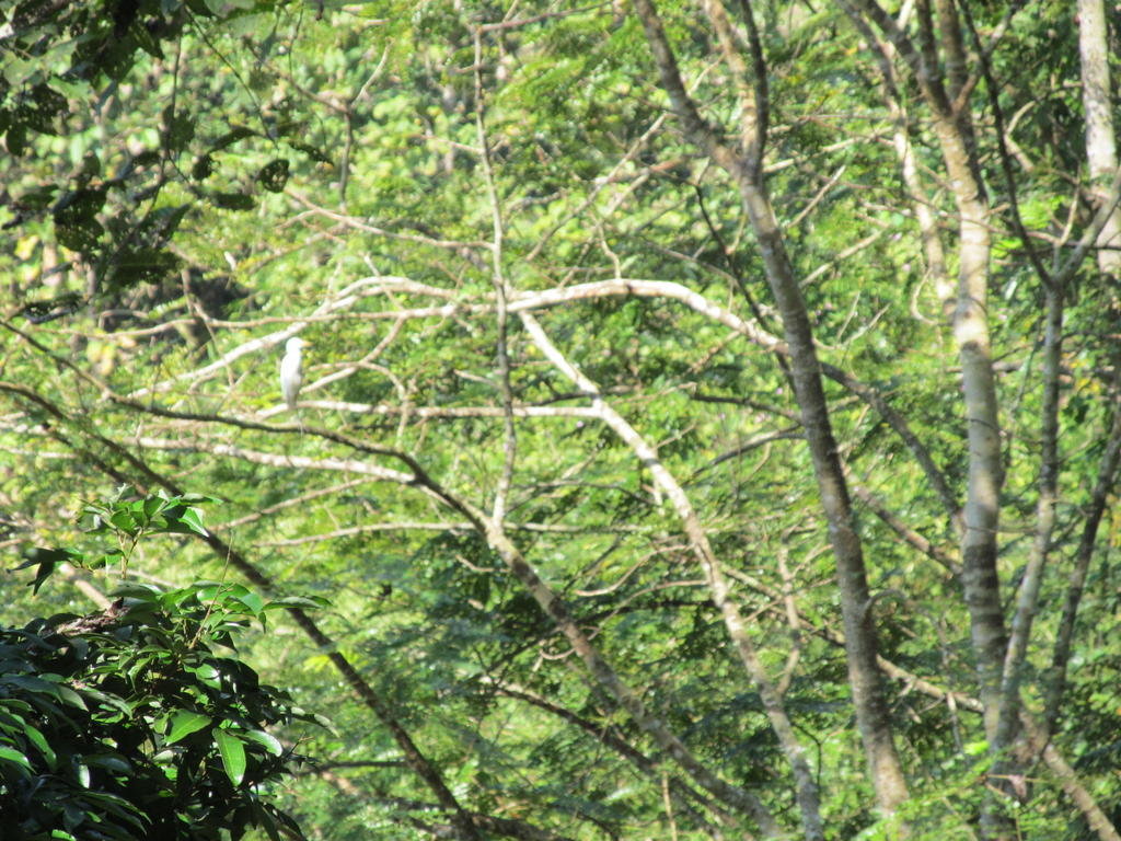 IMG_6978.jpg