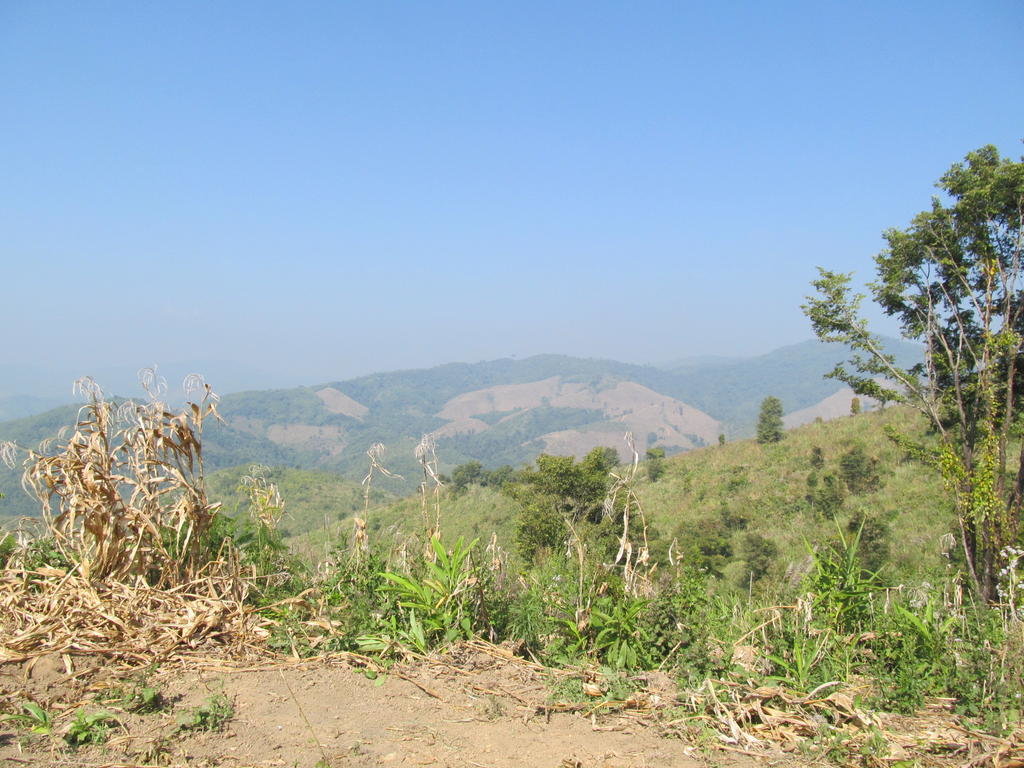 IMG_7039.jpg