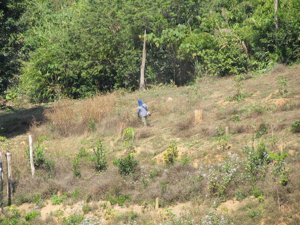 IMG_7069.jpg