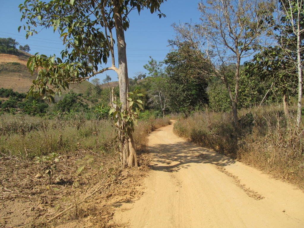 IMG_7075.jpg