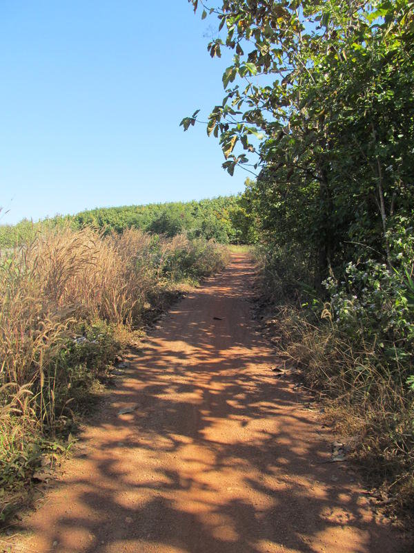 IMG_7170.jpg