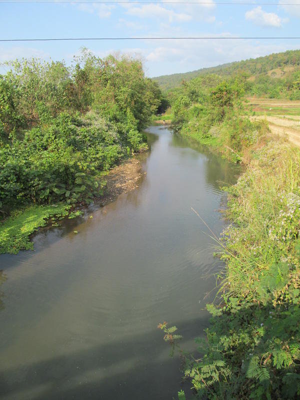 IMG_7266.jpg