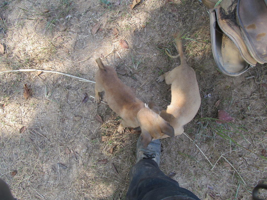 IMG_7279.jpg IMG_7279.jpg