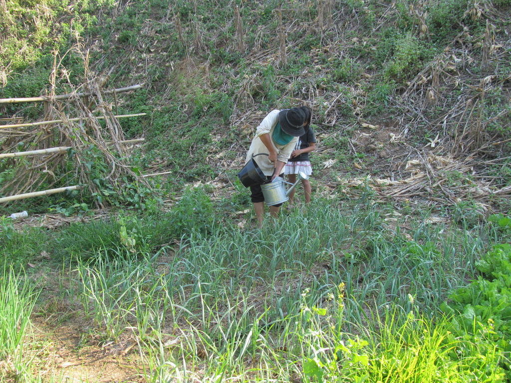 IMG_7350.jpg IMG_7350.jpg