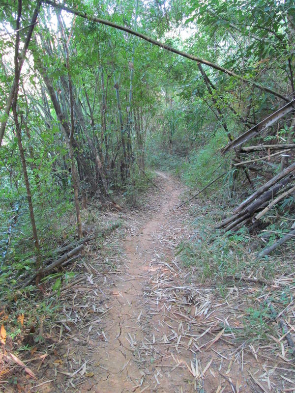 IMG_7476.jpg IMG_7476.jpg
