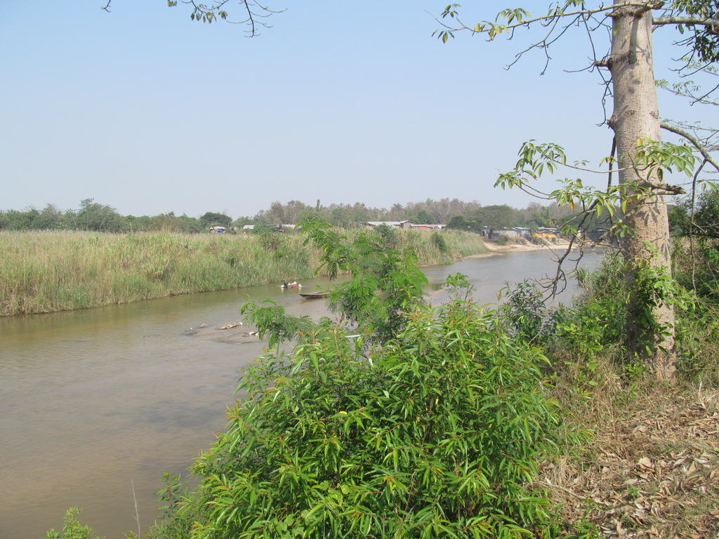 IMG_7997.jpg
