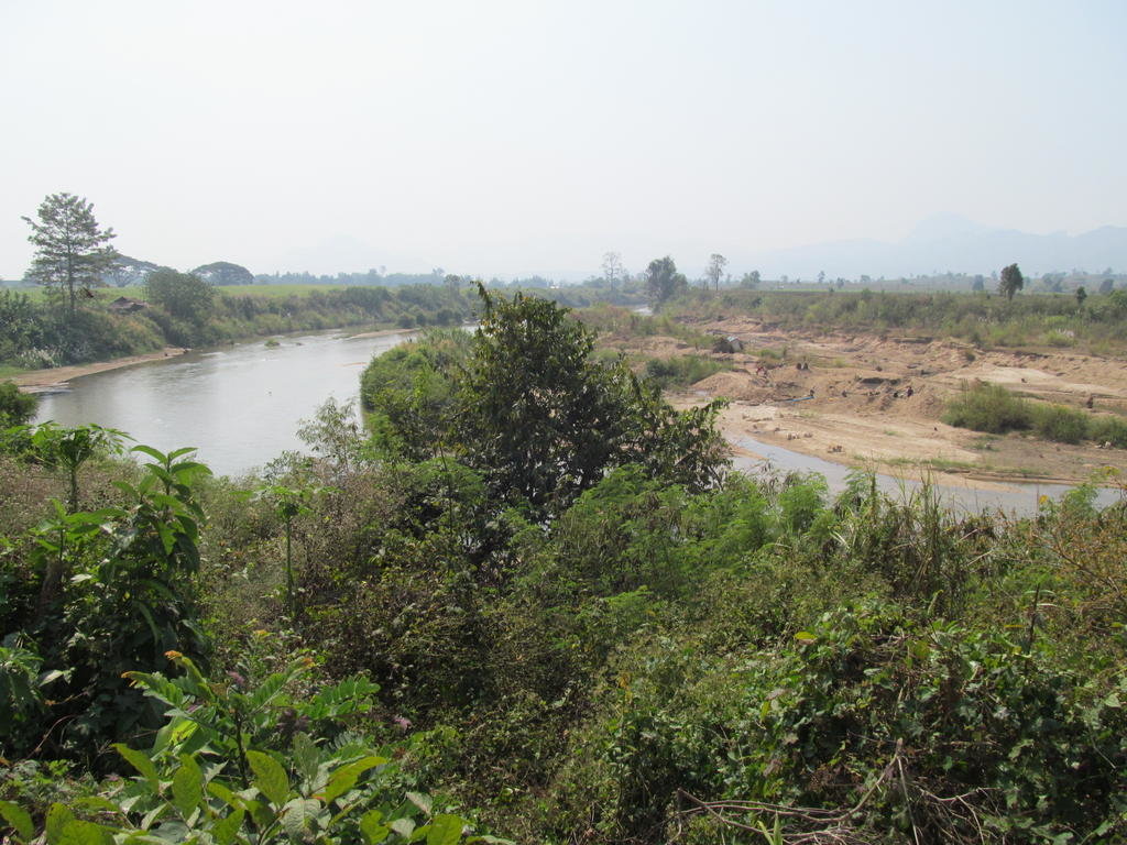 IMG_8007.jpg