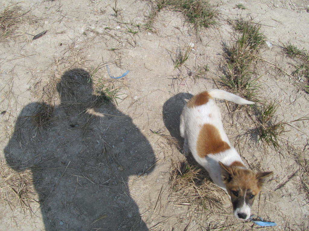 IMG_8058.jpg IMG_8058.jpg