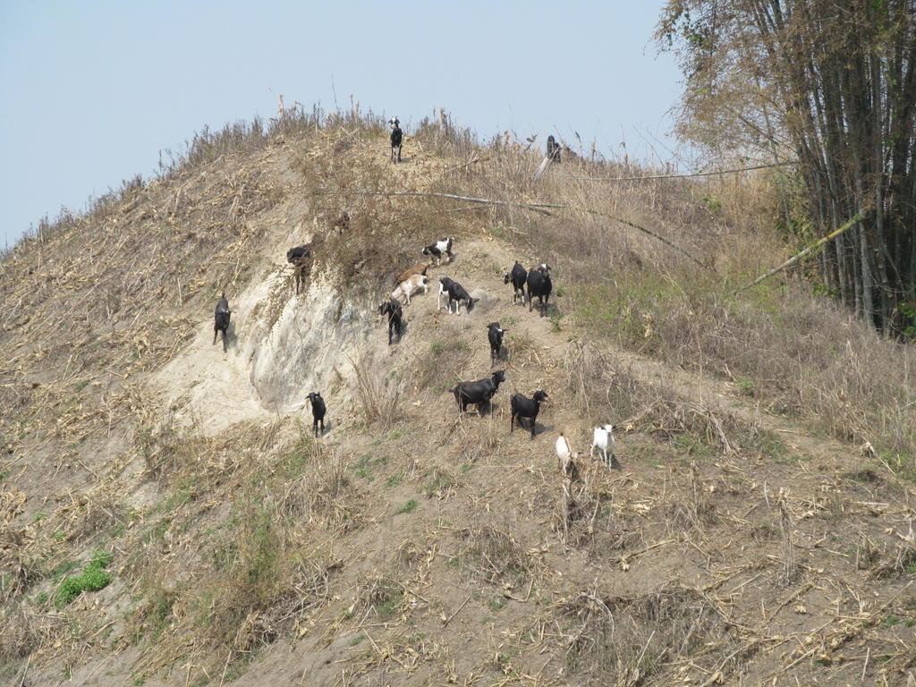 IMG_8210.jpg