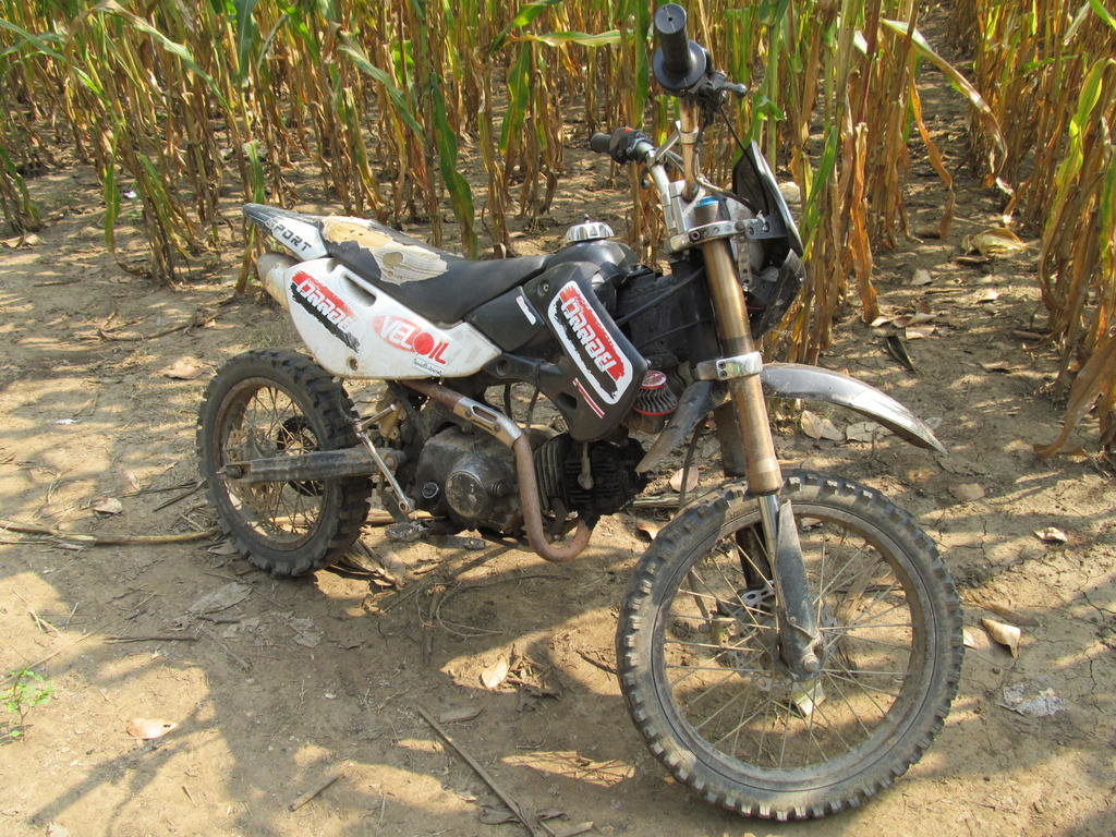IMG_8217.jpg