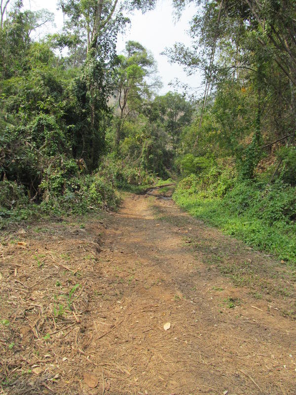 IMG_8240.jpg