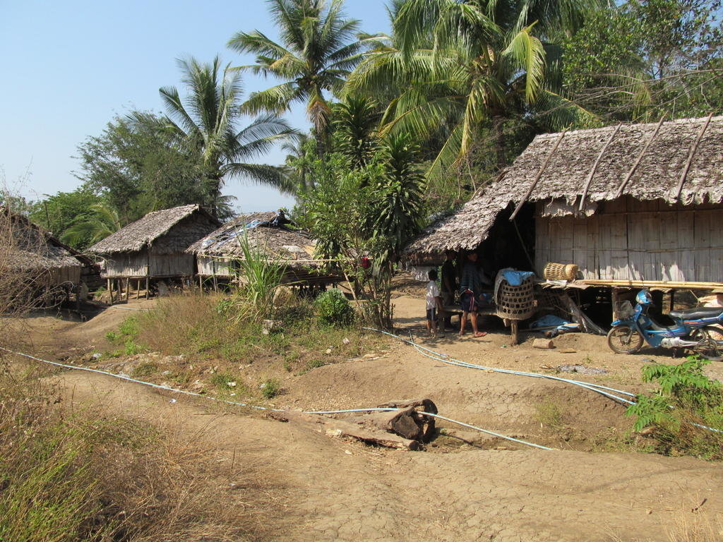 IMG_8304.jpg