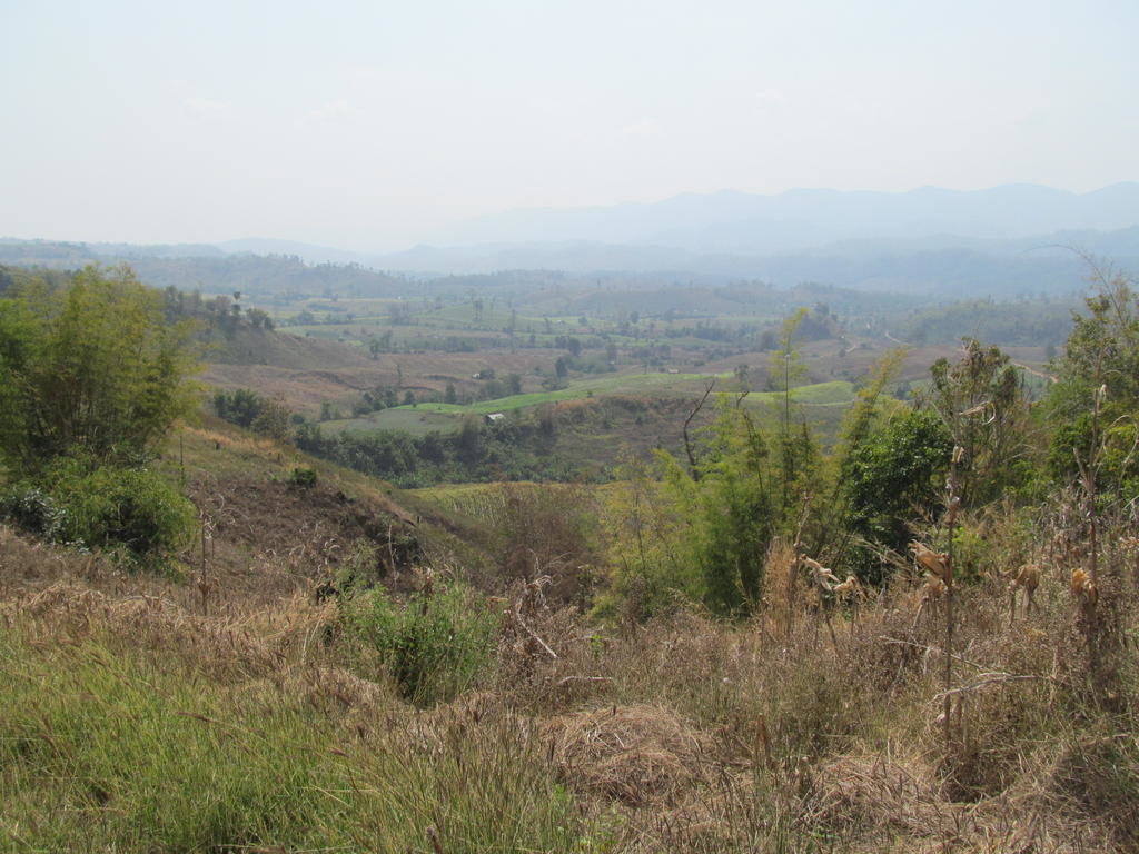 IMG_8353.jpg