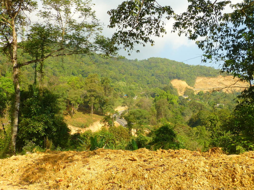 P1050109.jpg P1050109.jpg