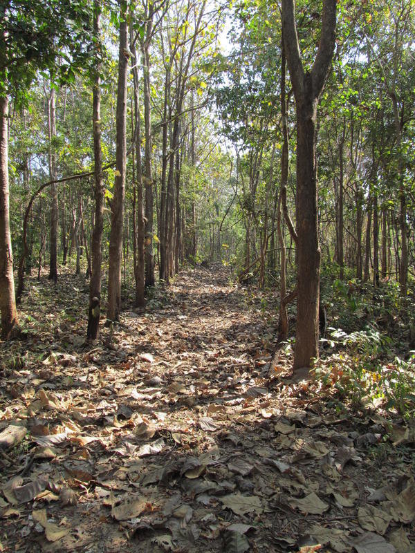 IMG_8376.jpg