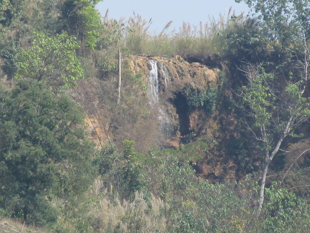 IMG_8396.jpg