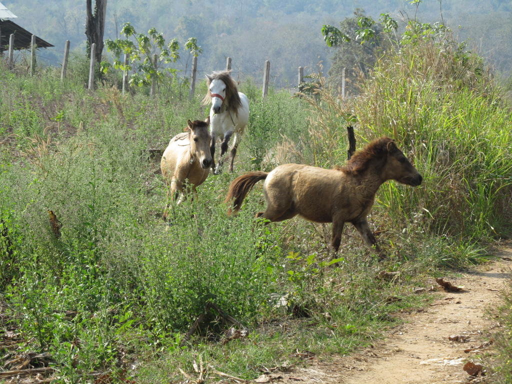 IMG_8404.jpg