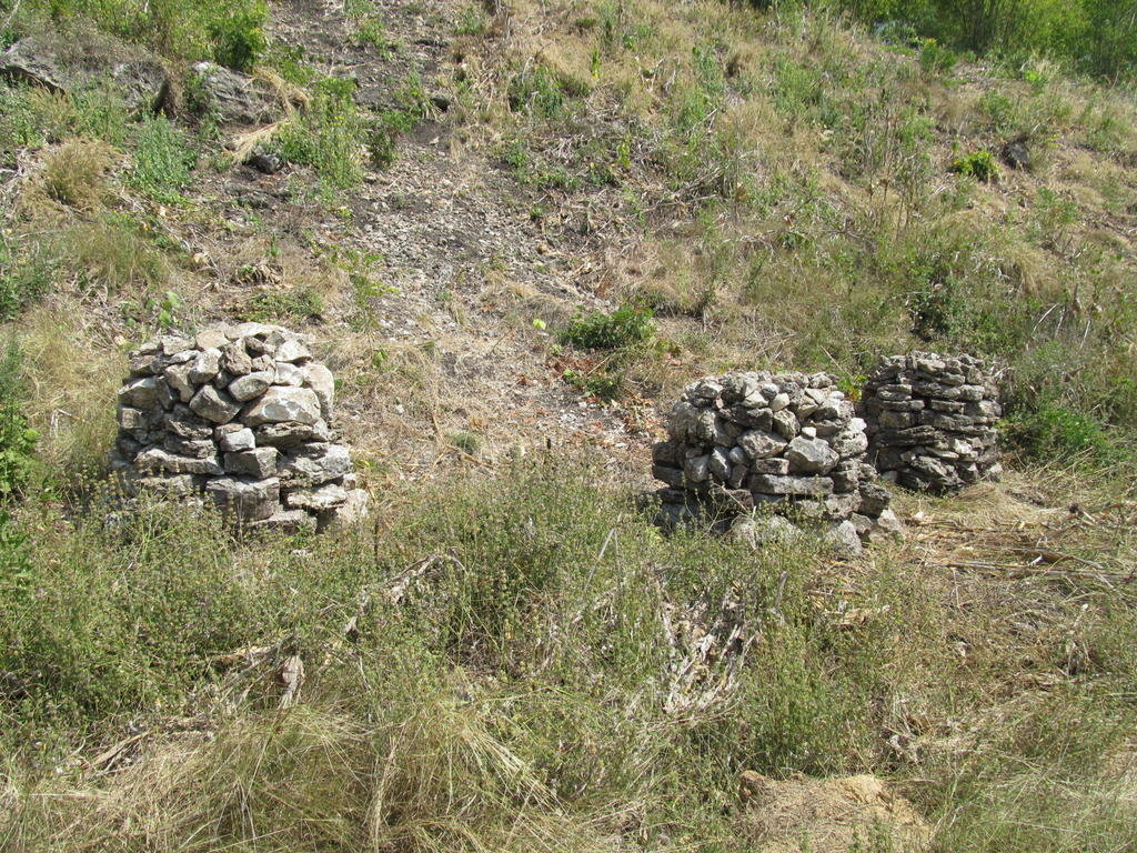 IMG_8421.jpg